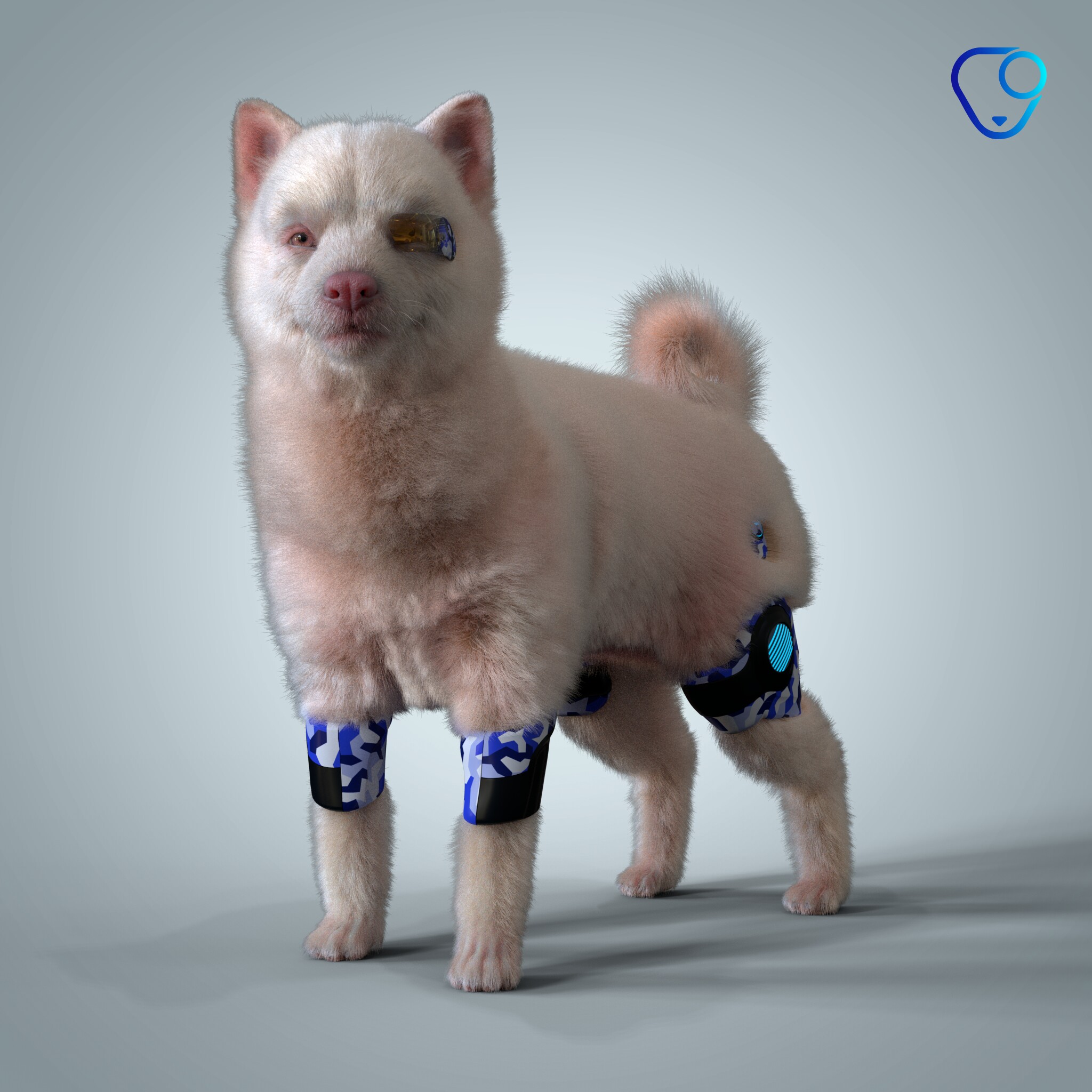 Shiba Inu #785
